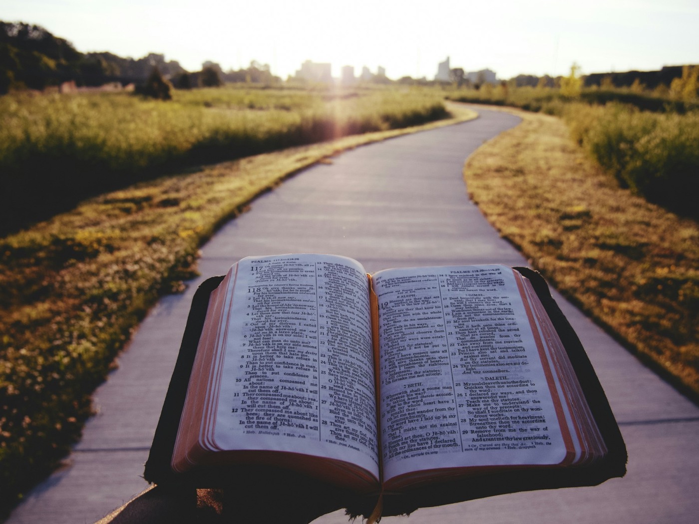 An open Bible held above a sunlit path
